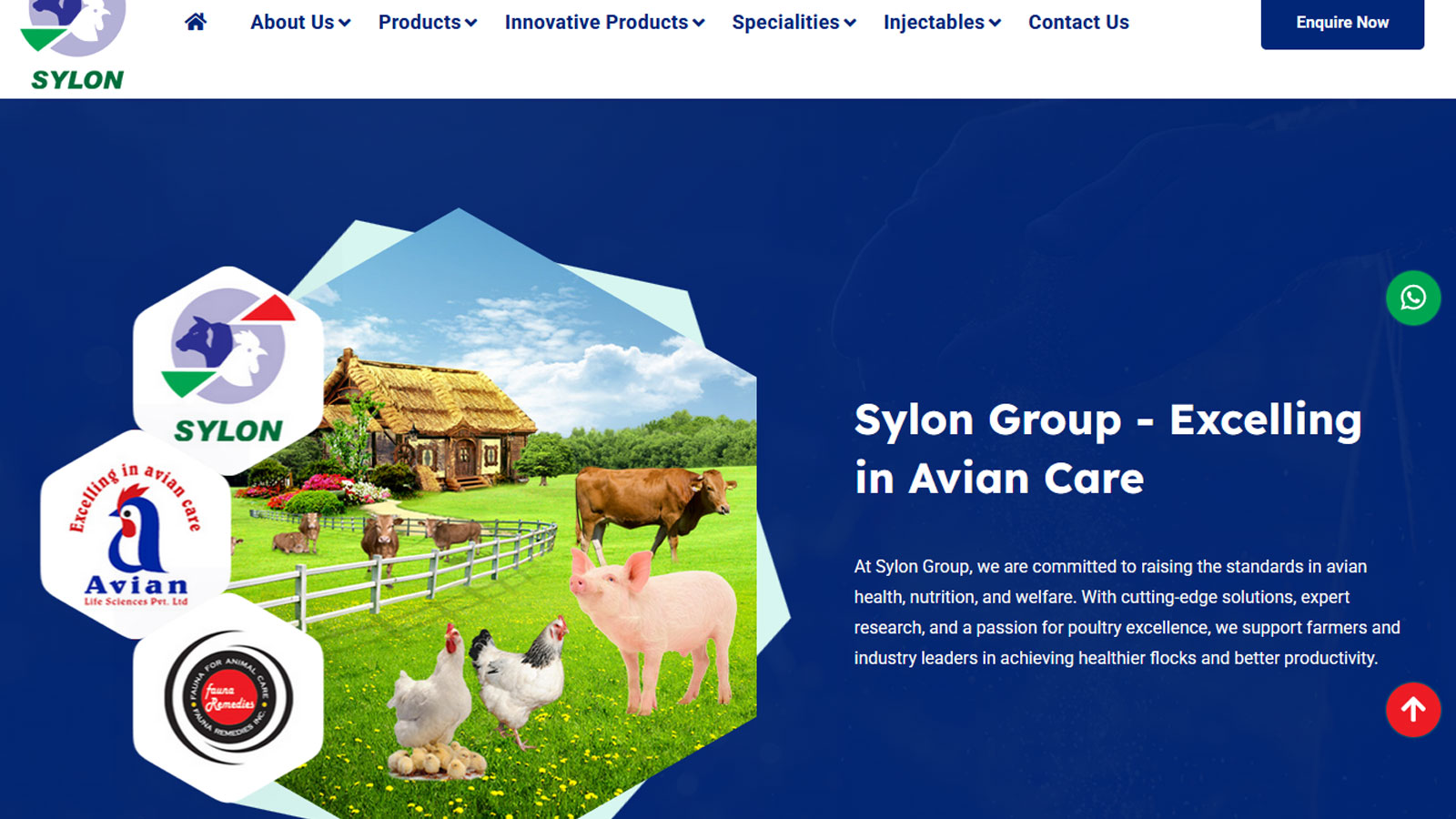 portfolio